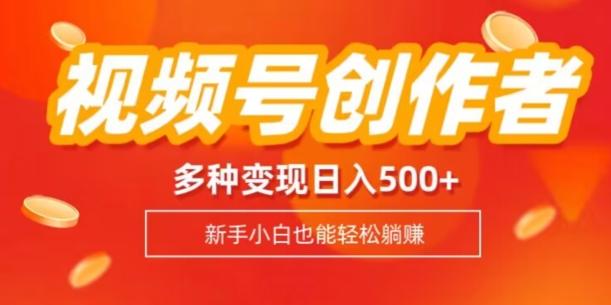 视频号创作者计划，多种变现方式，日入500+【内附1080g视频素材】-兵兵资源