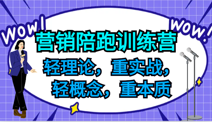 营销陪跑训练营，轻理论，重实战，轻概念，重本质，适合中小企业和初创企业的老板-兵兵资源