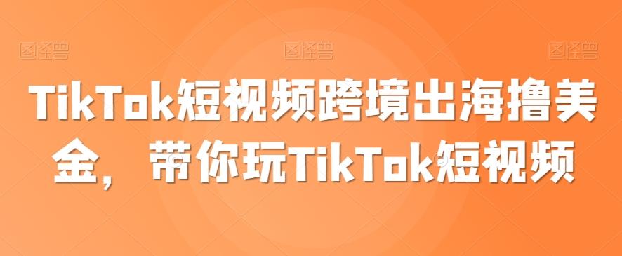 TikTok短视频跨境出海撸美金，带你玩TikTok短视频-兵兵资源