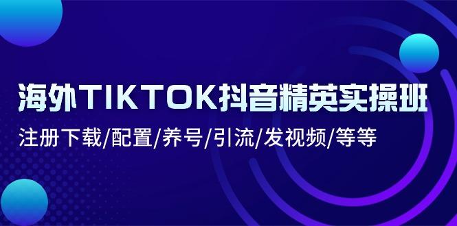 海外TIKTOK抖音精英实操班：注册下载/配置/养号/引流/发视频/等等-兵兵资源