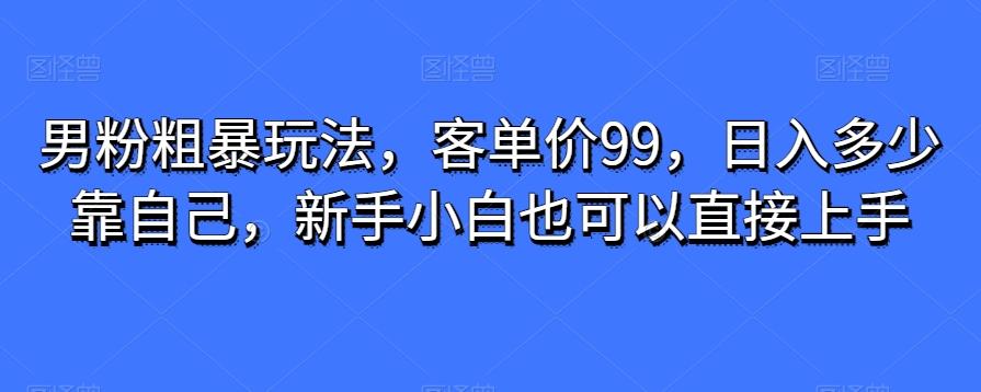 男粉粗暴玩法，客单价99，日入多少靠自己，新手小白也可以直接上手-兵兵资源