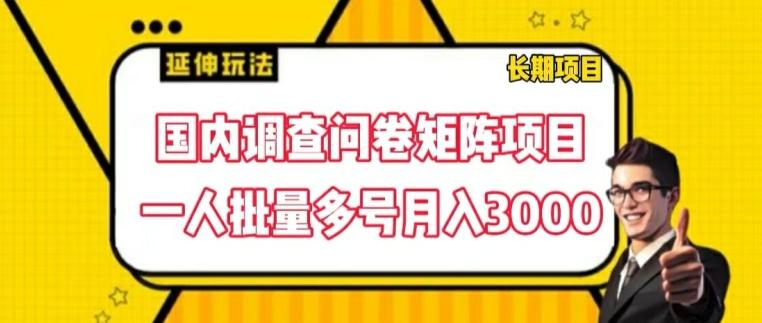 国内调查问卷矩阵项目，一人批量多号月入3000【揭秘】-兵兵资源