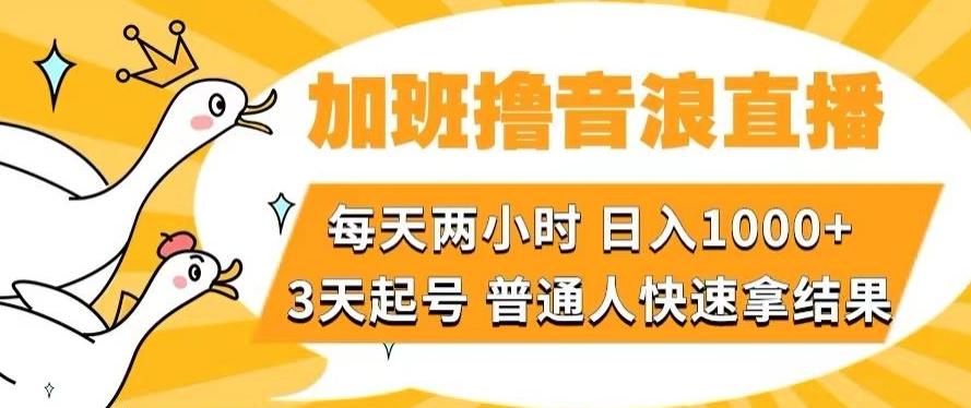 加班撸音浪直播，每天两小时，日入1000+，直播话术才3句，3天起号，普通人快速拿结果【揭秘】-兵兵资源