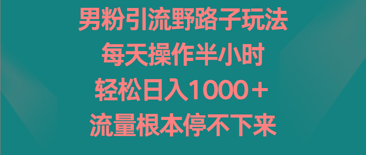 男粉引流野路子玩法，每天操作半小时轻松日入1000＋，流量根本停不下来-兵兵资源