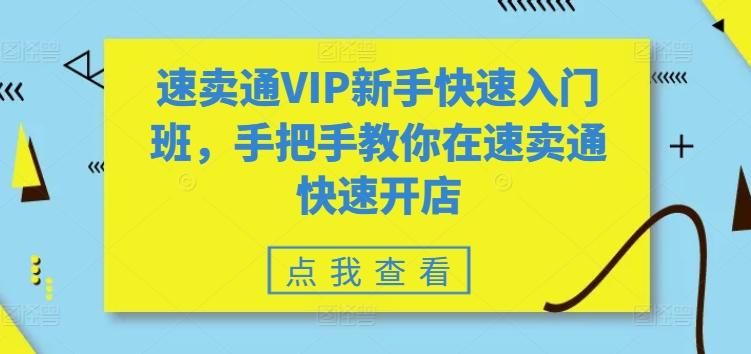 速卖通VIP新手快速入门班，手把手教你在速卖通快速开店-兵兵资源