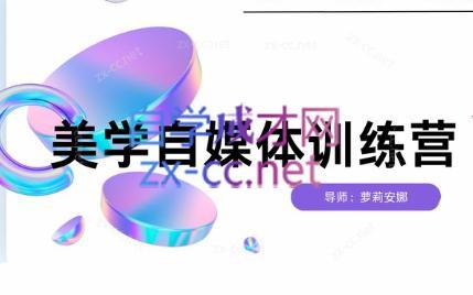 安娜·美学自媒体IP系统课-兵兵资源