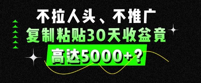 不拉人头、不推广，复制粘贴30天收益竟高达5000+？-兵兵资源