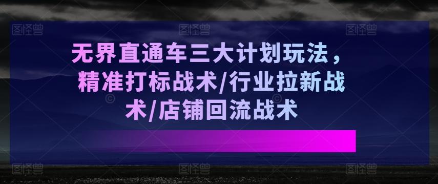 无界直通车三大计划玩法，精准打标战术/行业拉新战术/店铺回流战术-兵兵资源