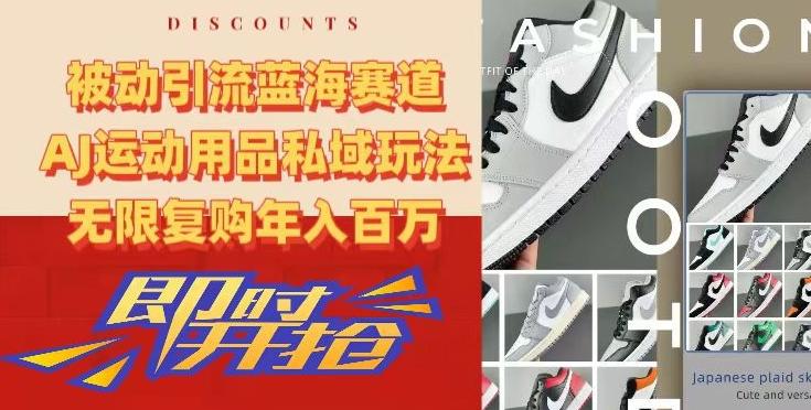 被动引流蓝海赛道，AJ运动用品私域玩法，无限复购年入百万【揭秘】-兵兵资源
