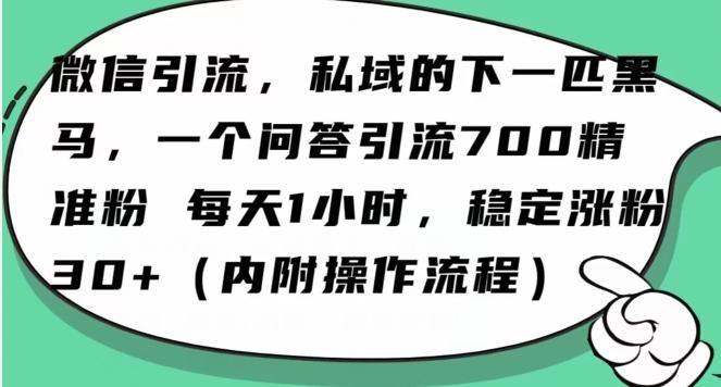 怎么搞精准创业粉?微信新赛道,每天一小时,利用Ai一个问答日引100精准粉