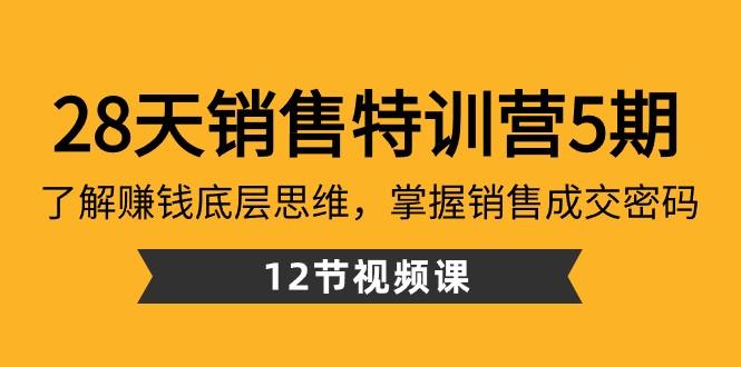 28天销售特训营5期：了解赚钱底层思维，掌握销售成交密码（12节课）-兵兵资源