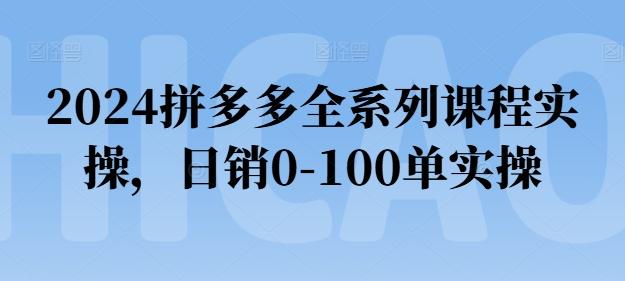 2024拼多多全系列课程实操，日销0-100单实操【必看】-兵兵资源