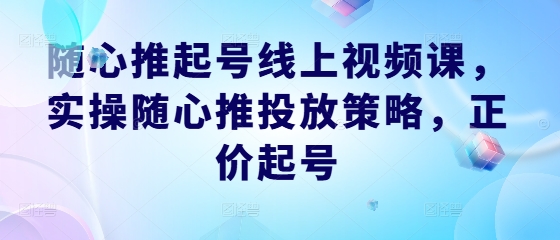 随心推起号线上视频课，实操随心推投放策略，正价起号-兵兵资源