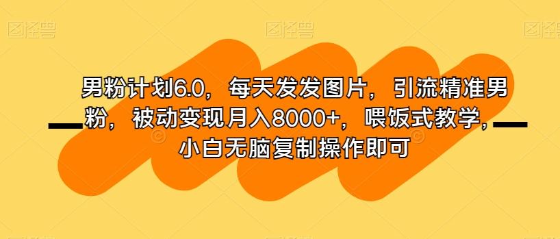 男粉计划6.0，每天发发图片，引流精准男粉，被动变现月入8000+，喂饭式教学，小白无脑复制操作即可-兵兵资源