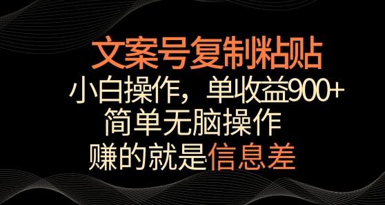 文案号掘金，简单复制粘贴，小白操作，单作品收益900+【揭秘】-兵兵资源