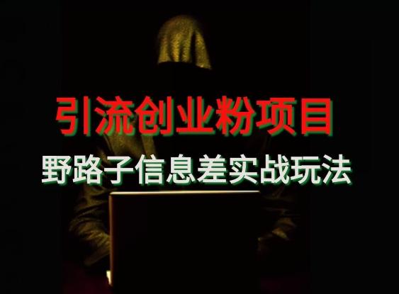 【引流创业粉】野路子信息差玩法实战教学-兵兵资源