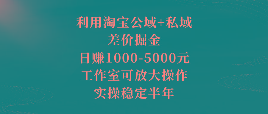 利用淘宝公域+私域差价掘金，日赚1000-5000元，工作室可放大操作，实操…-兵兵资源