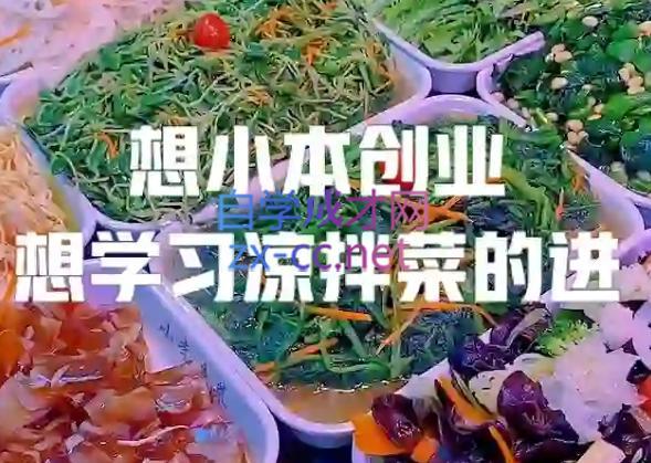 李记·精品凉拌菜系列热卤系列教程-兵兵资源