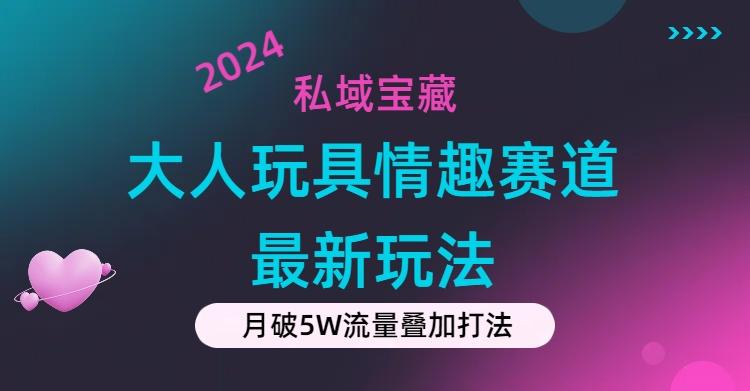 私域宝藏：大人玩具情趣赛道合规新玩法，零投入，私域超高流量成单率高-兵兵资源