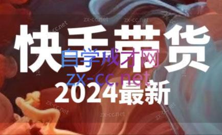 快手带货(2024最新)-兵兵资源