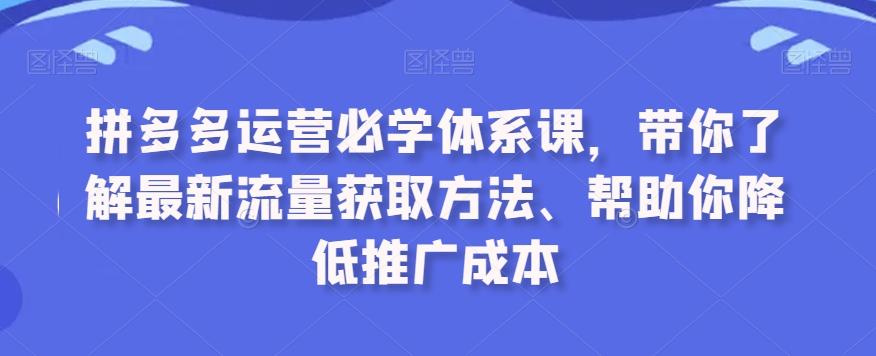 拼多多运营必学体系课，带你了解最新流量获取方法、帮助你降低推广成本-兵兵资源