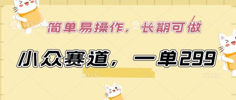 小众赛道，一单299.简单易操作，长期可做【揭秘】-兵兵资源