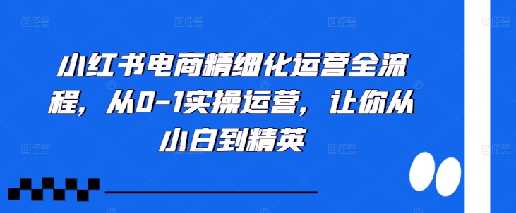 小红书电商精细化运营全流程，从0-1实操运营，让你从小白到精英-兵兵资源