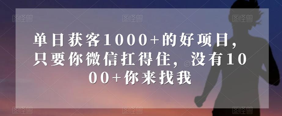 单日获客1000+的好项目，只要你微信扛得住，没有1000+你来找我【揭秘】-兵兵资源