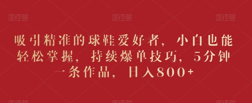 吸引精准的球鞋爱好者，小白也能轻松掌握，持续爆单技巧，5分钟一条作品，日入800+【揭秘】-兵兵资源