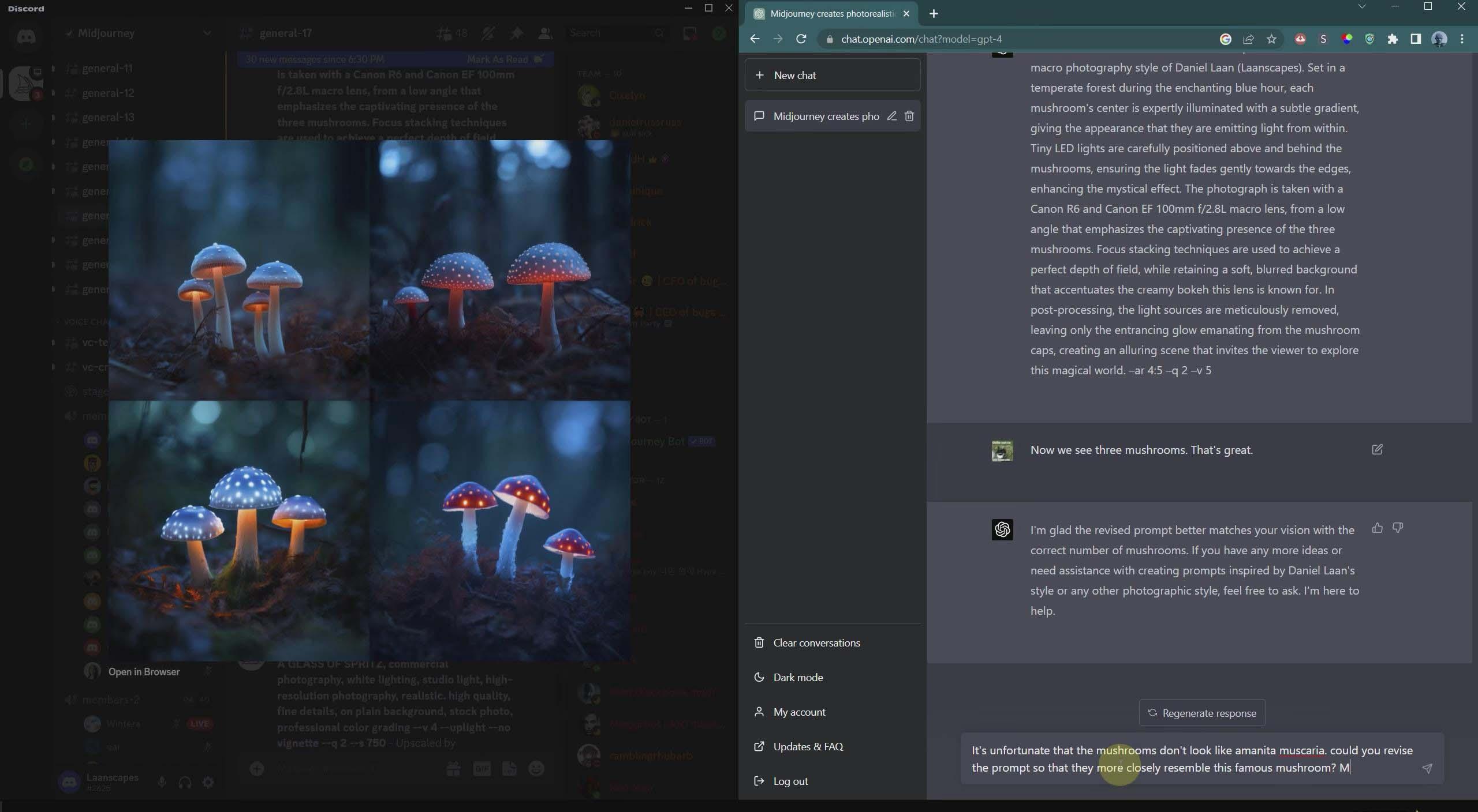 图片[4]-(8717期)摄影师 Daniel Laan 使用ChatGPT与Midjourney生成风光图像-中英字幕-兵兵资源
