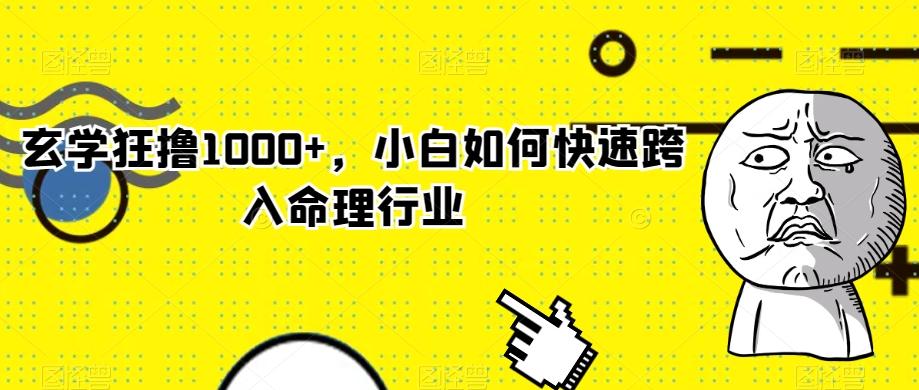 玄学狂撸1000+，小白如何快速跨入命理行业-兵兵资源