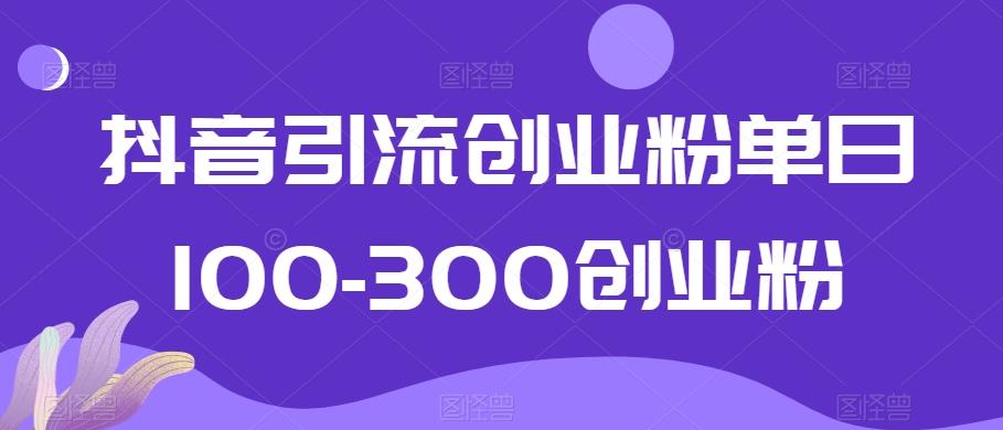 抖音引流创业粉单日100-300创业粉【揭秘】-兵兵资源