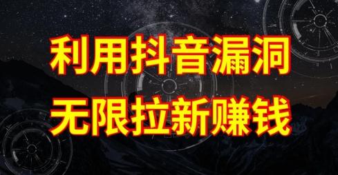 利用抖音链接漏洞，无限拉新赚钱【漏洞原理+操作流程】【揭秘】-兵兵资源