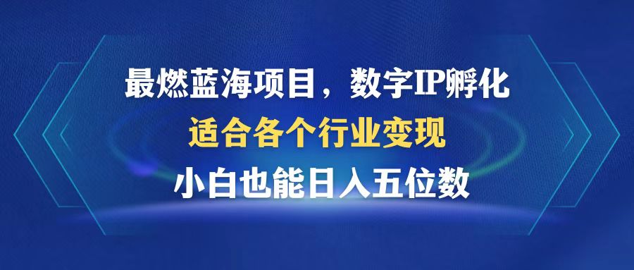 最燃蓝海项目  数字IP孵化  适合各个行业变现  小白也能日入5位数-兵兵资源