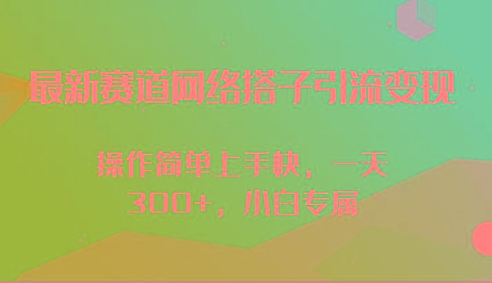 最新赛道网络搭子引流变现!!操作简单上手快，一天300+，小白专属-兵兵资源