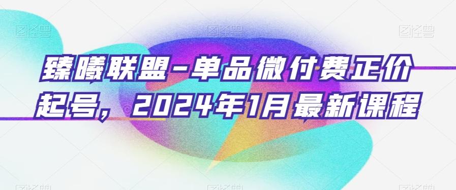 臻曦联盟-单品微付费正价起号，2024年1月最新课程-兵兵资源