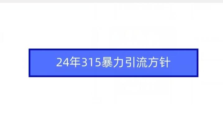 24年315暴力引流方针-兵兵资源