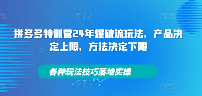 拼多多特训营24年爆破流玩法，产品决定上限，方法决定下限，各种玩法技巧落地实操-兵兵资源