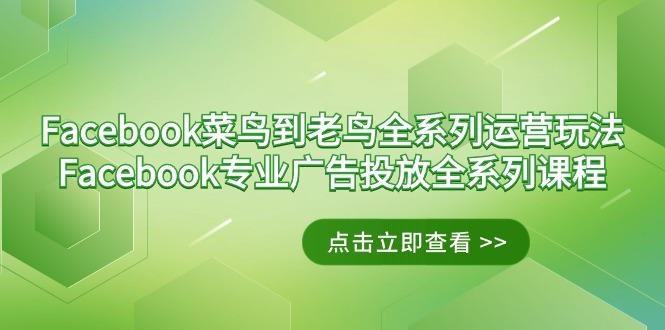 Facebook-菜鸟到老鸟全系列运营玩法+Facebook-专业广告投放全系列课程-兵兵资源