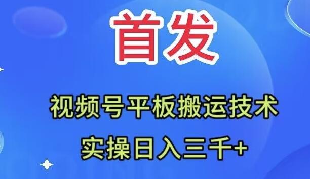 全网首发：视频号平板搬运技术，实操日入三千＋-兵兵资源