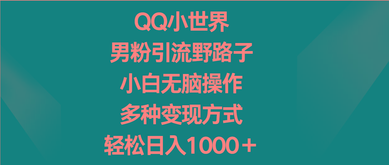 QQ小世界男粉引流野路子，小白无脑操作，多种变现方式轻松日入1000＋-兵兵资源