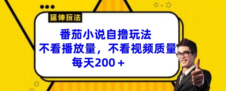 番茄小说自撸玩法，不看播放量，不看视频质量，每天200+【揭秘】-兵兵资源