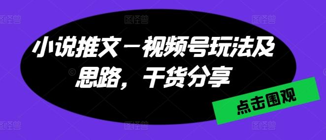 小说推文—视频号玩法及思路，干货分享-兵兵资源