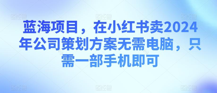 蓝海项目，在小红书卖2024年公司策划方案无需电脑，只需一部手机即可-兵兵资源