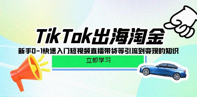 (10035期)TikTok-出海淘金，新手0-1快速入门短视频直播带货等引流到变现的知识-兵兵资源