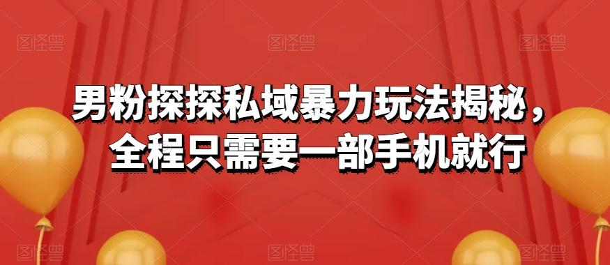 男粉探探私域暴力玩法揭秘，全程只需要一部手机就行-兵兵资源