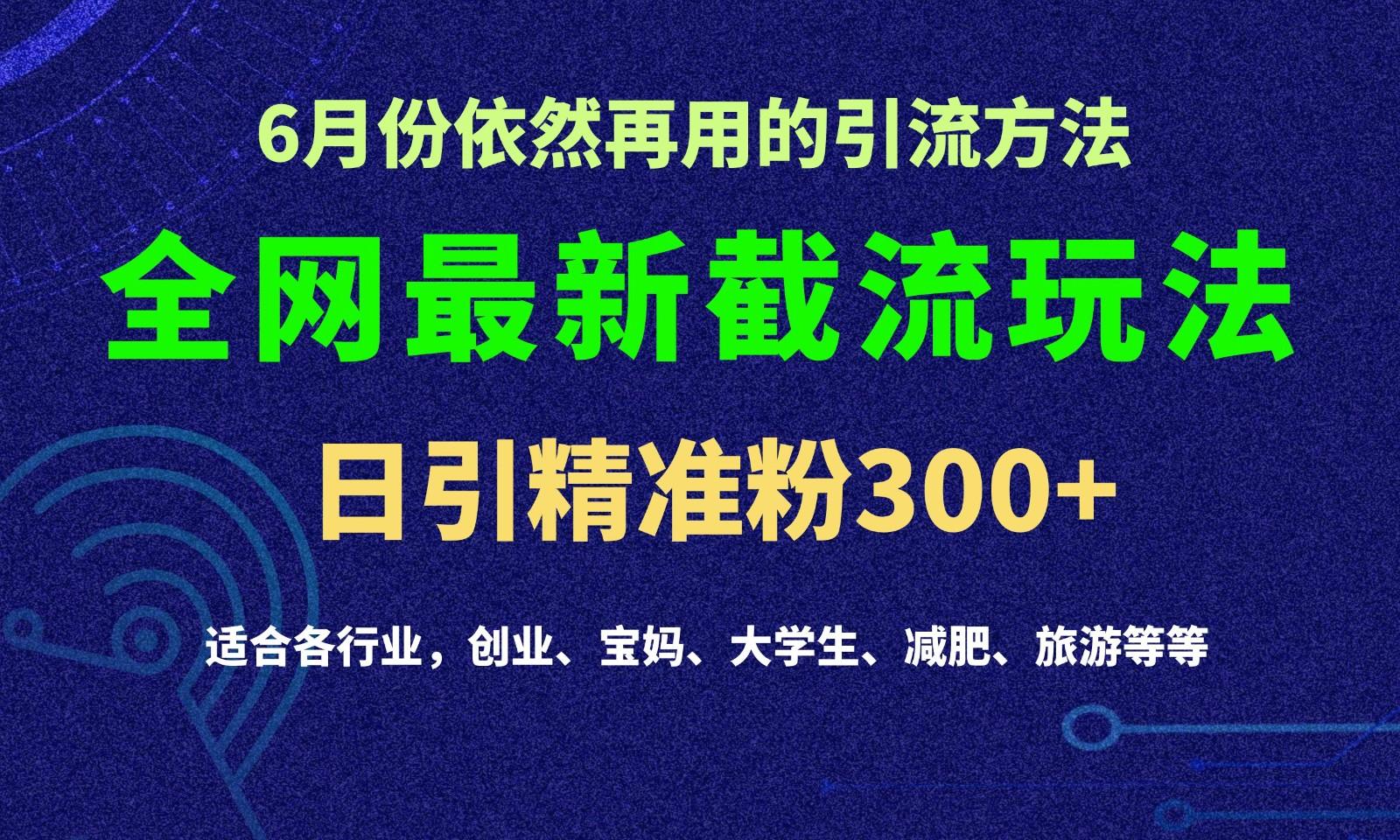 2024全网最新截留玩法，每日引流突破300+-兵兵资源