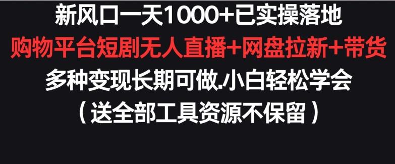 新风口一天1000+已实操落地购物平台短剧无人直播+网盘拉新+带货多种变现长期可做【揭秘】-兵兵资源