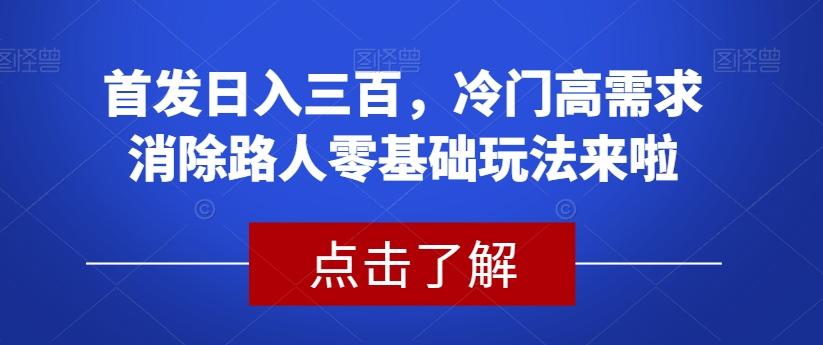首发日入三百，冷门高需求消除路人零基础玩法来啦【揭秘】-兵兵资源