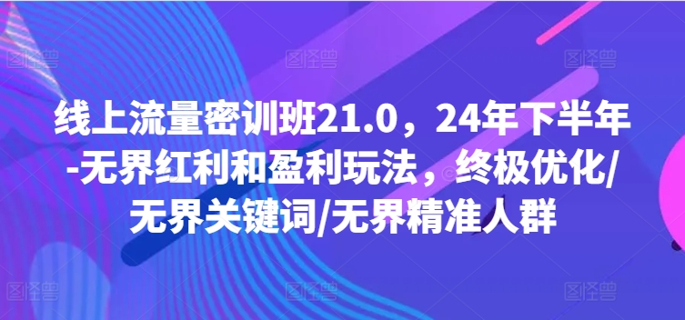 线上流量密训班21.0，24年下半年-无界红利和盈利玩法，终极优化/无界关键词/无界精准人群-兵兵资源